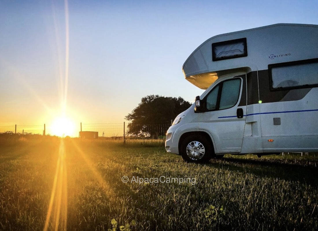Camping on family Christmas tree farm #1