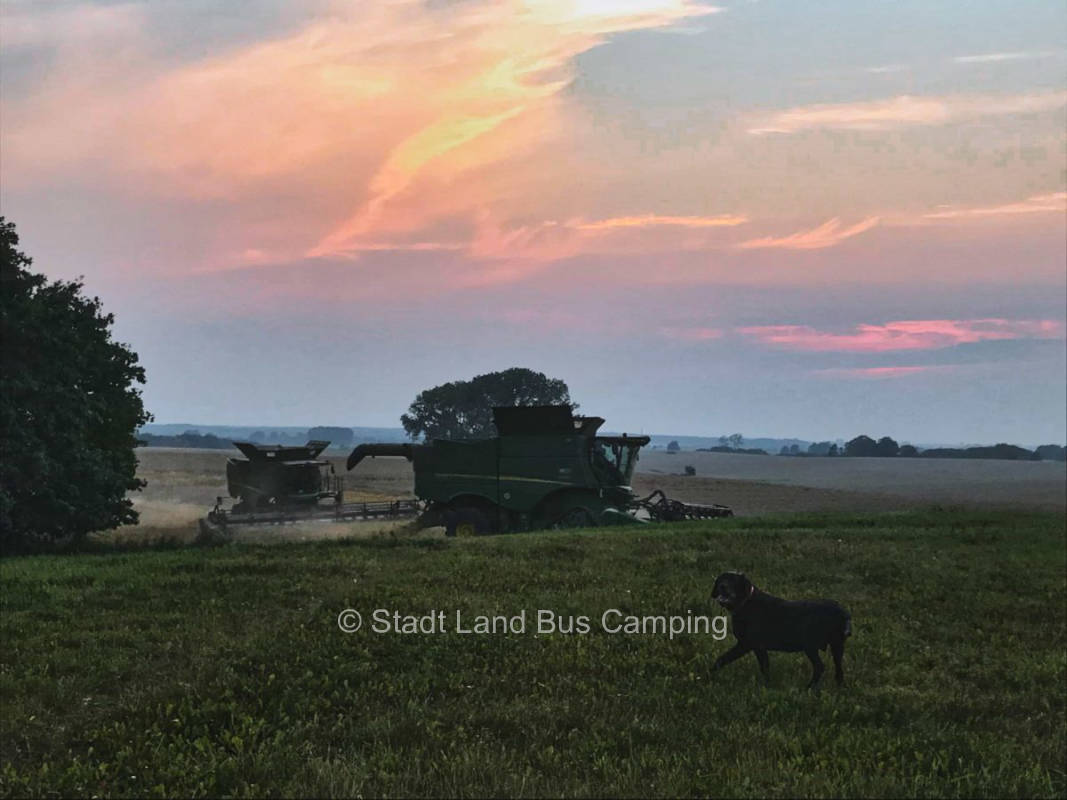 Mecklenburger Land Stellplatz 1