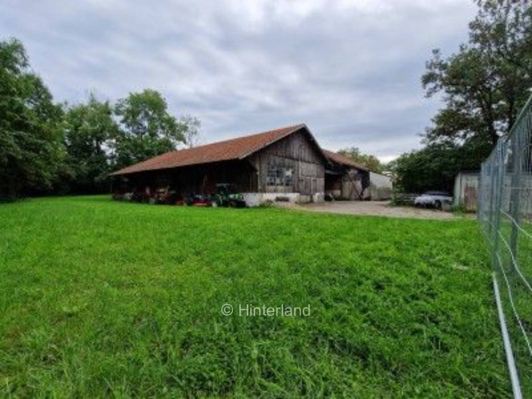 Bei der alten Sägemühle am Bach
