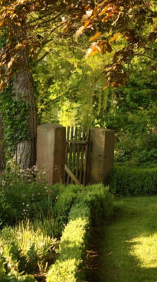 Zelten in der Parkgartenidylle auf dem Land