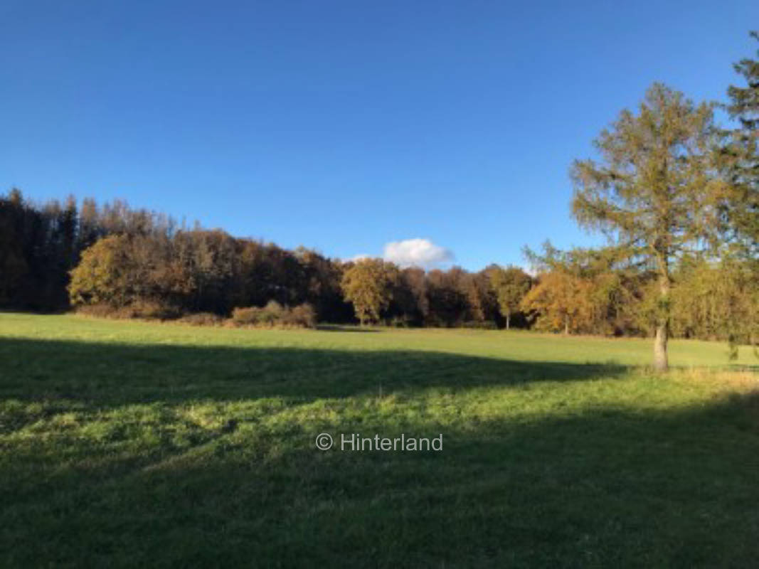 Zwischen Engeln und Weibern am Rande der Eifel