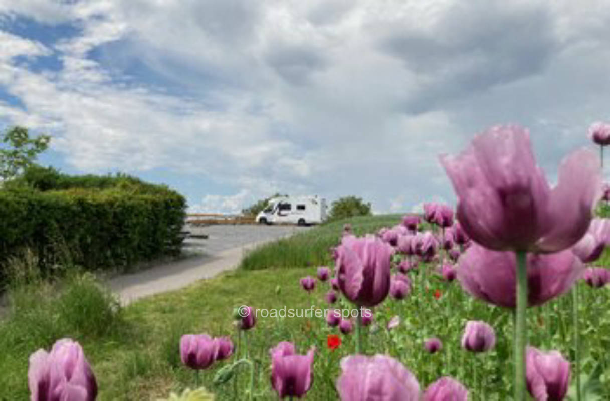 Weingut- und  Weinausschank Schönbrunn