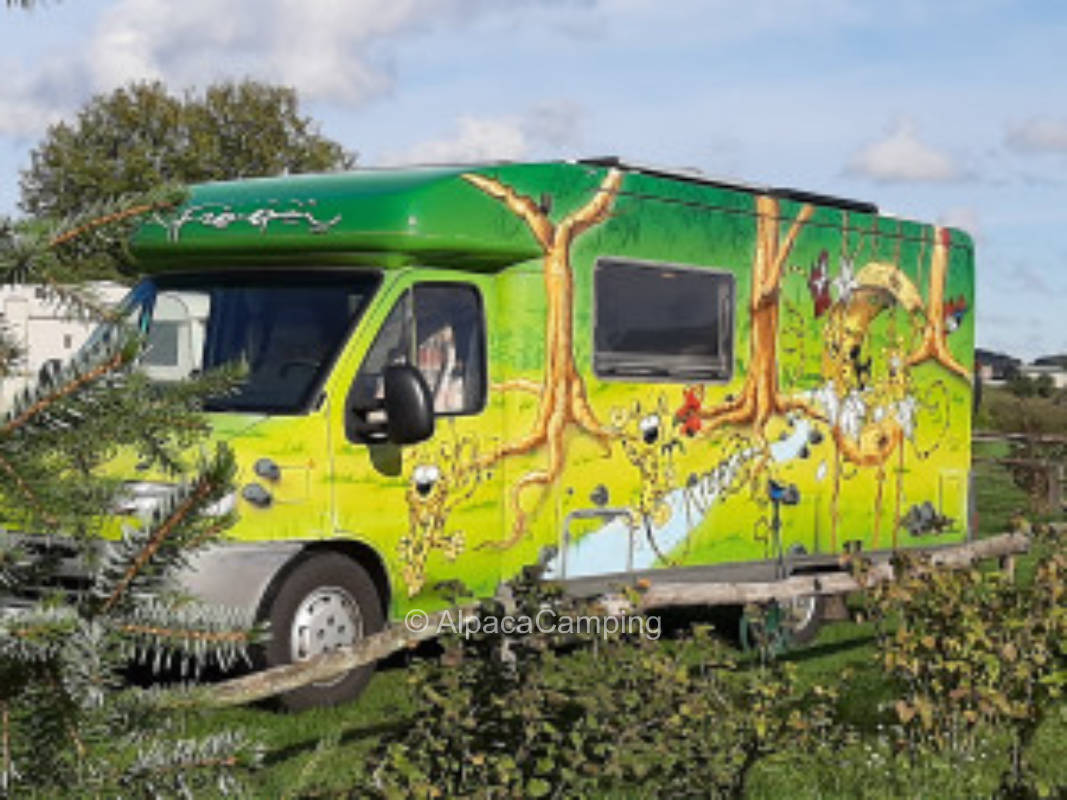 Pitch on the eco farm #3