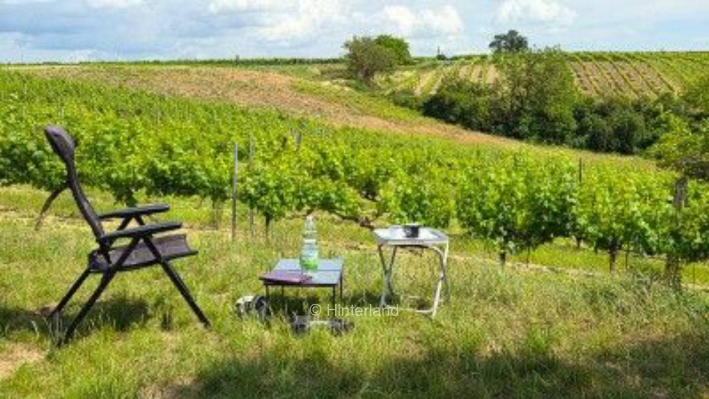 Campen im Weingarten