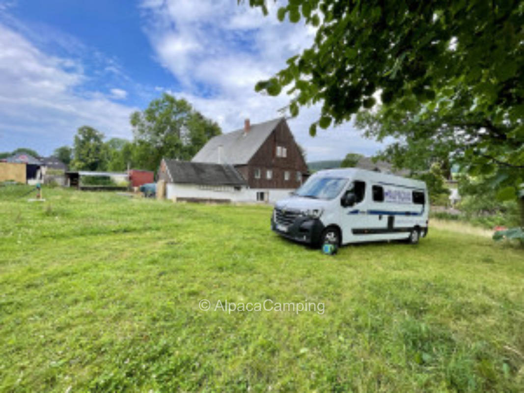 Orchard meadow in the Ore Mountains #2