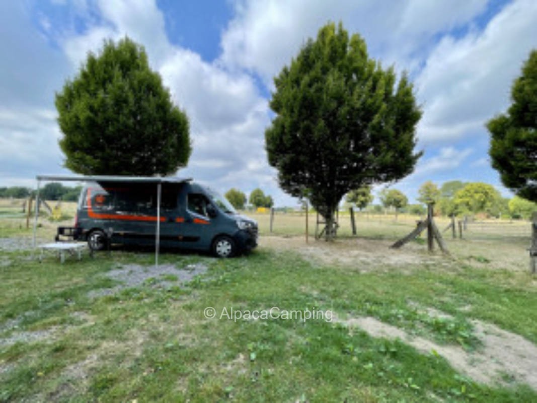 Decelerate and find peace #1