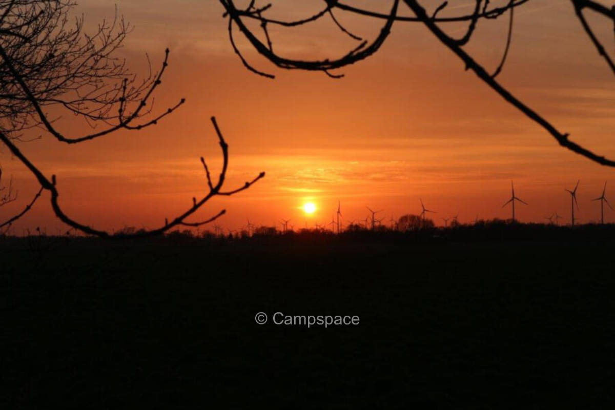 Rassen (Campspace 5435)