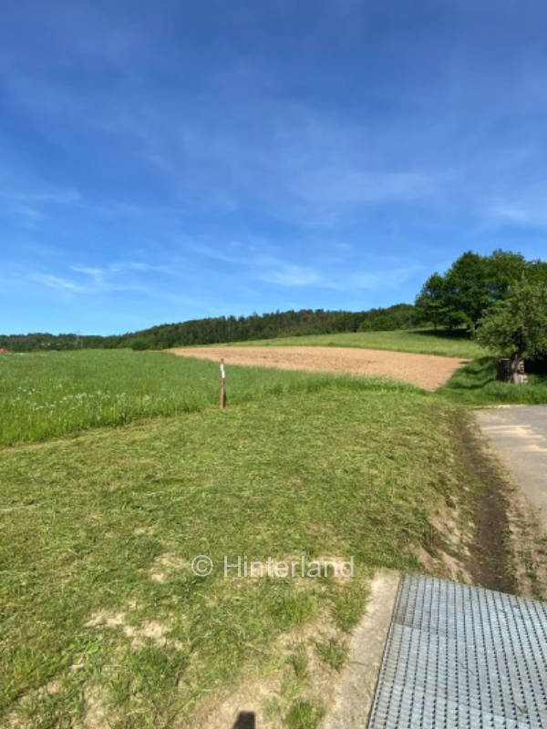 Camping at the quiet Odenwald meadows