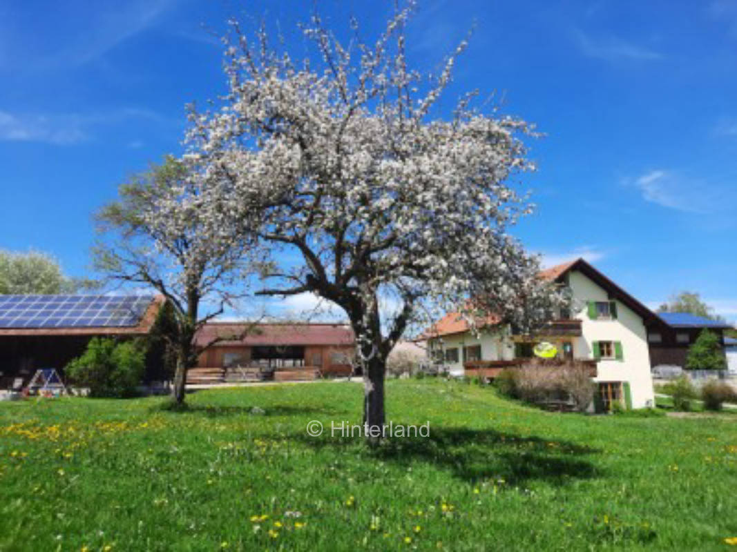 Farm camping in Allgäu