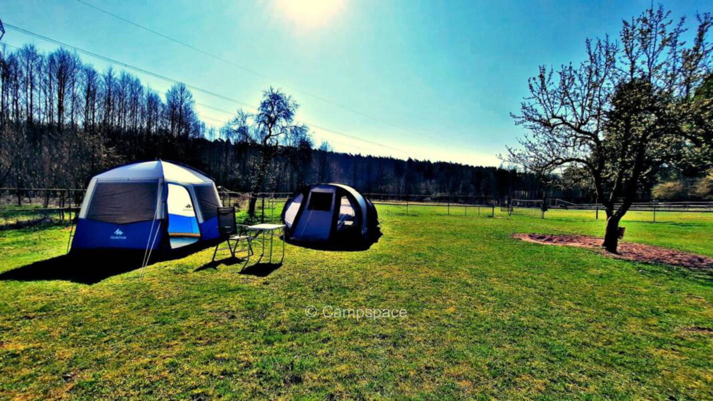 Camping on the donkey paddock in the Barnim Nature Park