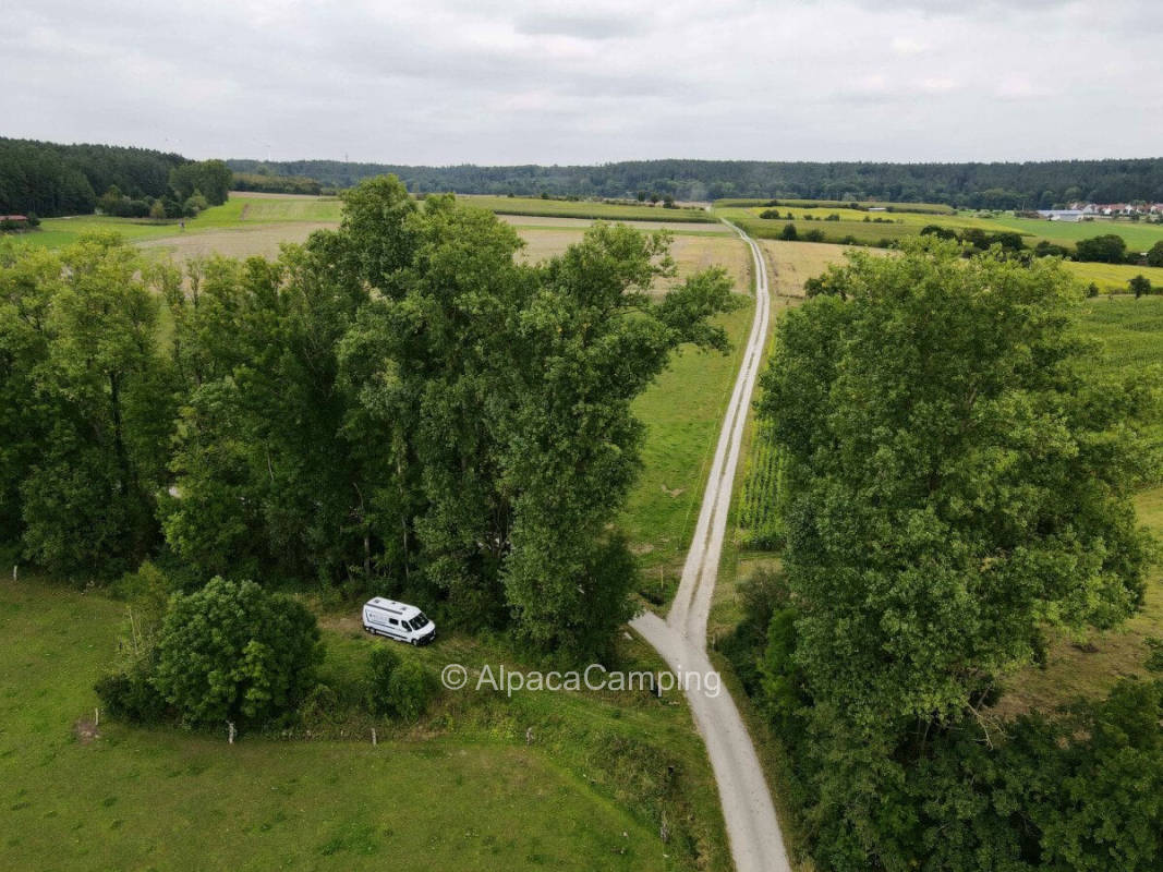 Under trees, in a wilderness, right by the stream #1