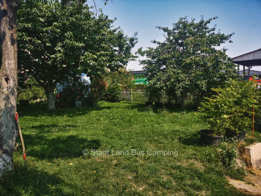 Orchard to horse meadow single pitch