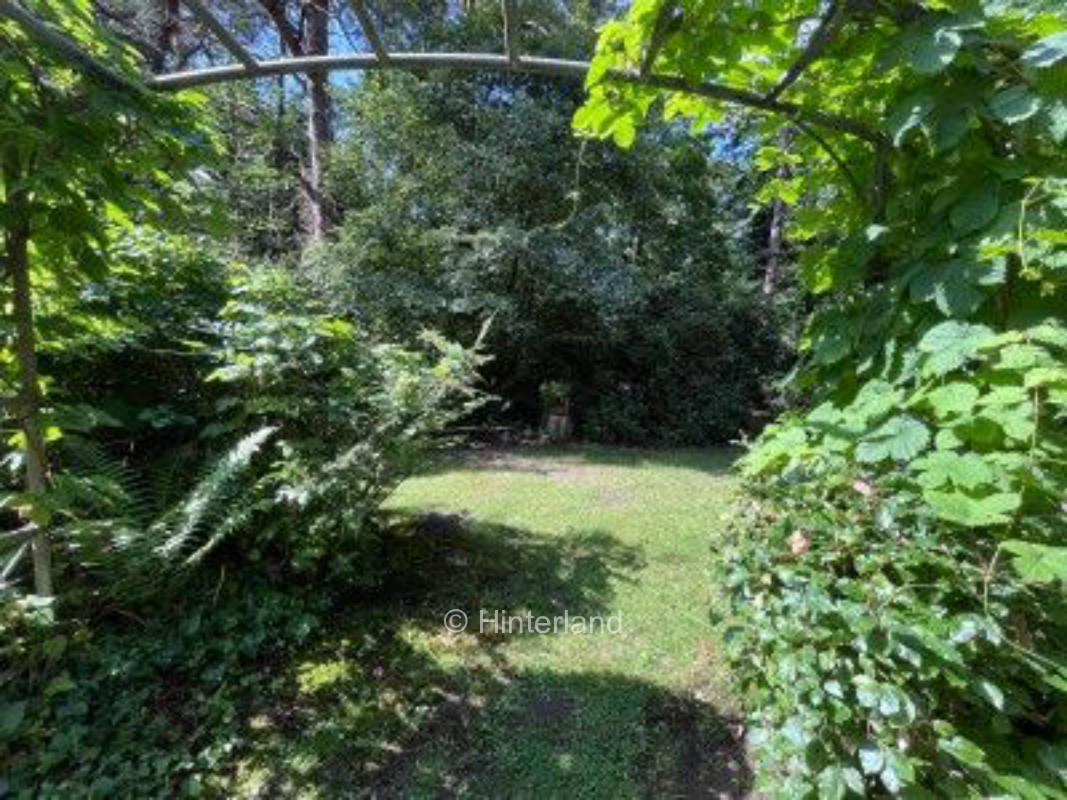 Waldidylle zwischen Hamburg und Lüneburger Heide