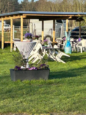 Campsite type for 46 people (Campspace 30736)