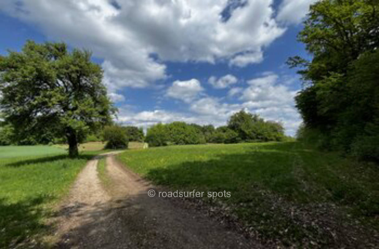 Naturwiese nahe Gößweinstein/ Nürnberger Kapelle