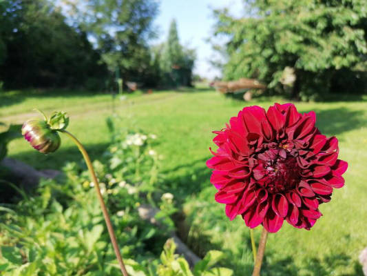 Stellplatz mit Ponyausblick (Campspace 3318)