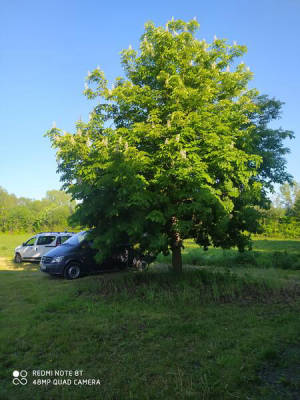 Camping mit Seezugang (Campspace 4526)