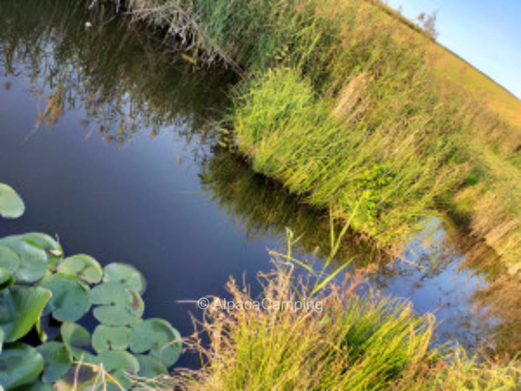 Übernachtung in der grünen Oase