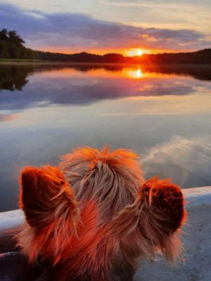 Großer Stellplatz am See - Wohnmobil und Wohnwagen