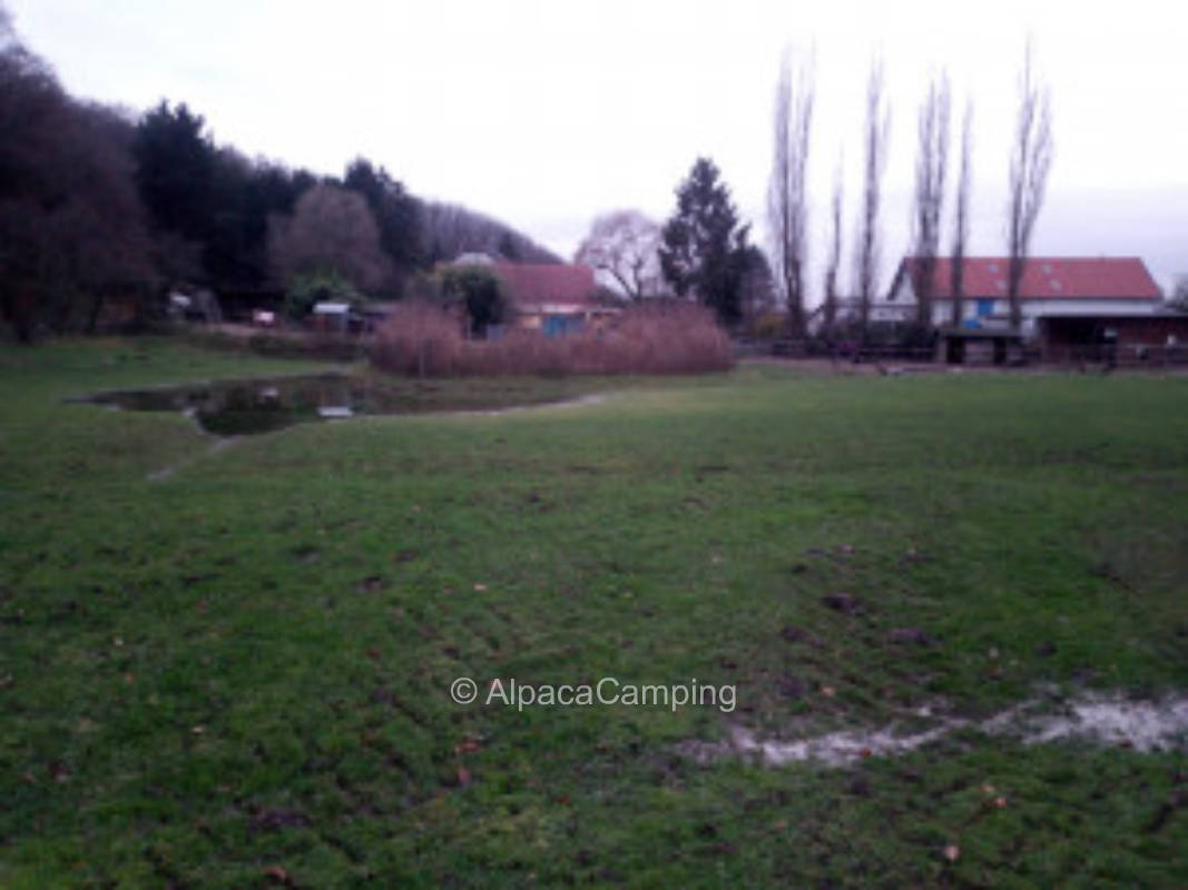 Tent site in city-country-river