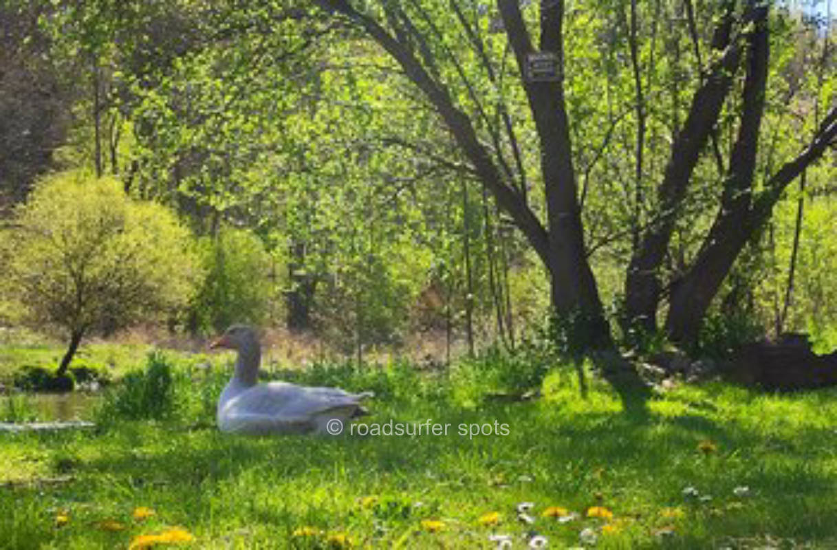 Camping am Lebenshof Elsa 