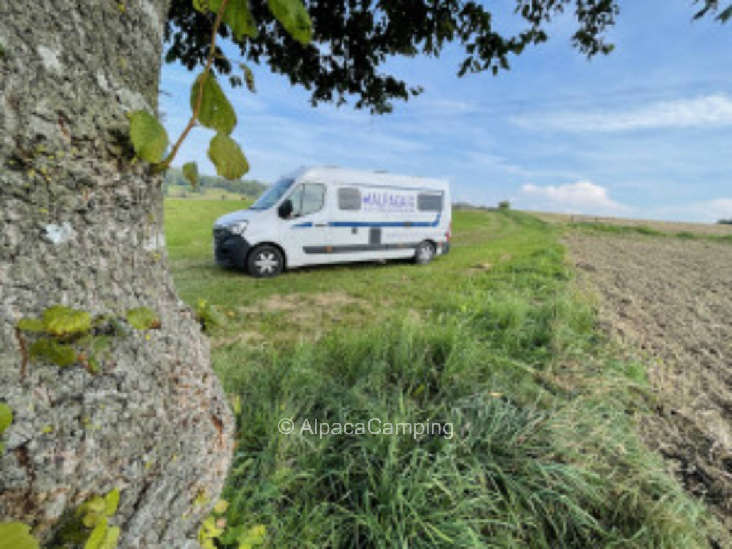 Idyllische Wiese mit Blick ins Deggenhausertal  #2