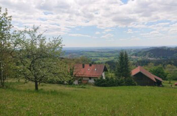 Über den Wolken am Bayerischen Wald