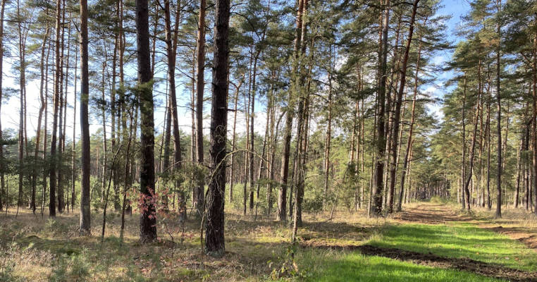 Mehrere Möglichkeiten am Grünen Band