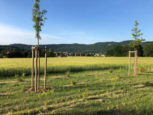privater Stellplatz (Campspace 8910)