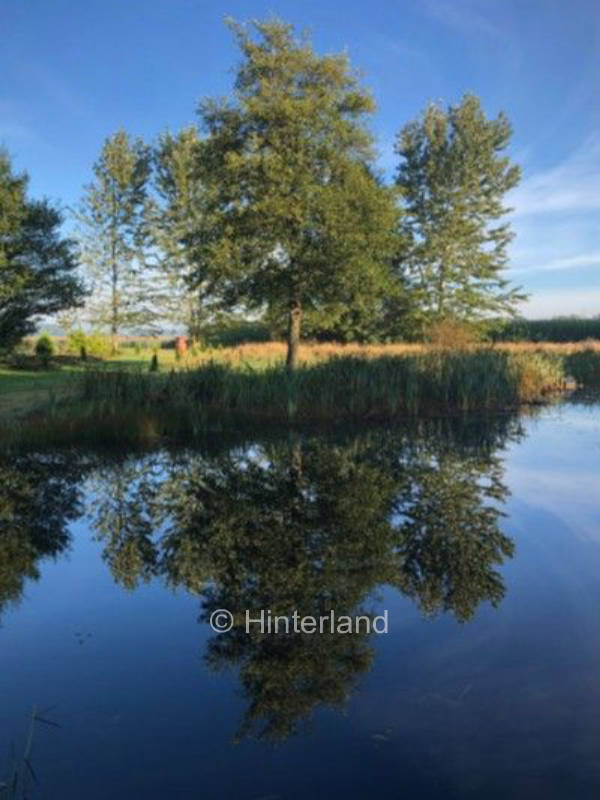 Camper paradise in Give: nature, peace and comfort