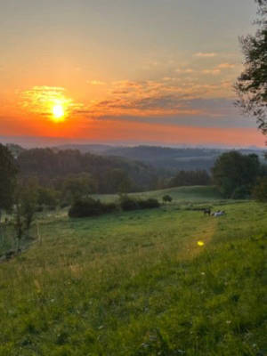 Picturesque & Secluded - Saxon Switzerland