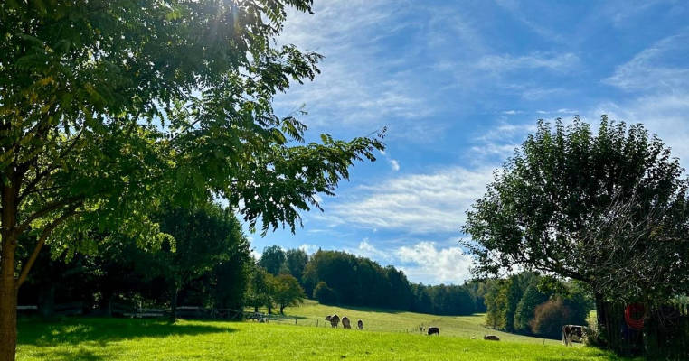 Traumhafter Einzelstellplatz in der Sächsischen Schweiz