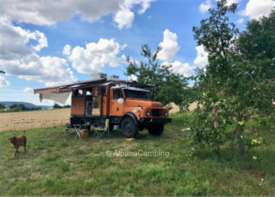 "Wild Campen" im Obstgarten​/​Streuobstwiese mit Ausblick im Nördlinger Ries #3