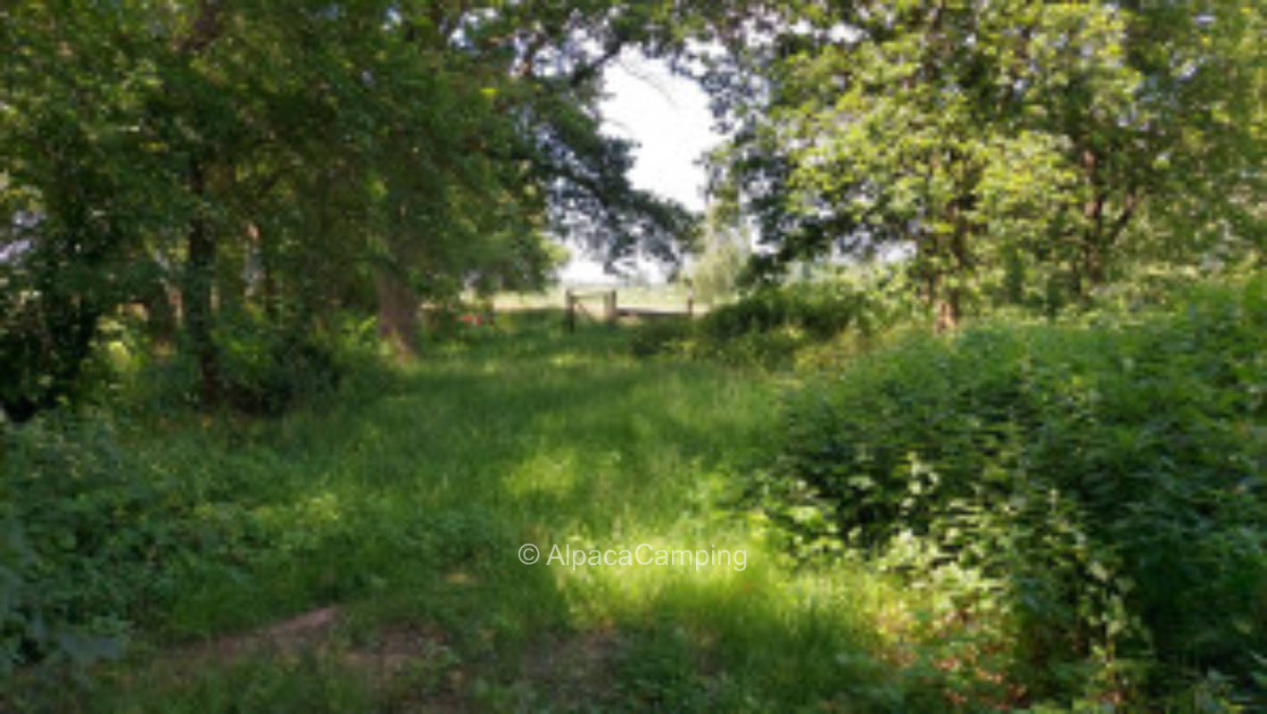 Time out in the Elbe Valley meadows