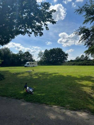 Large meadow with free pitch selection