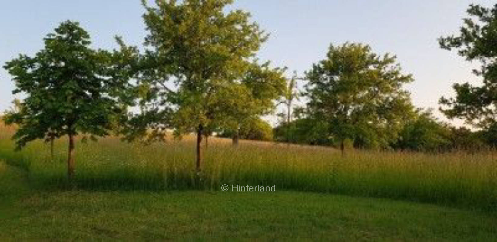 Idyllic farm between the Ruhr area and Sauerland