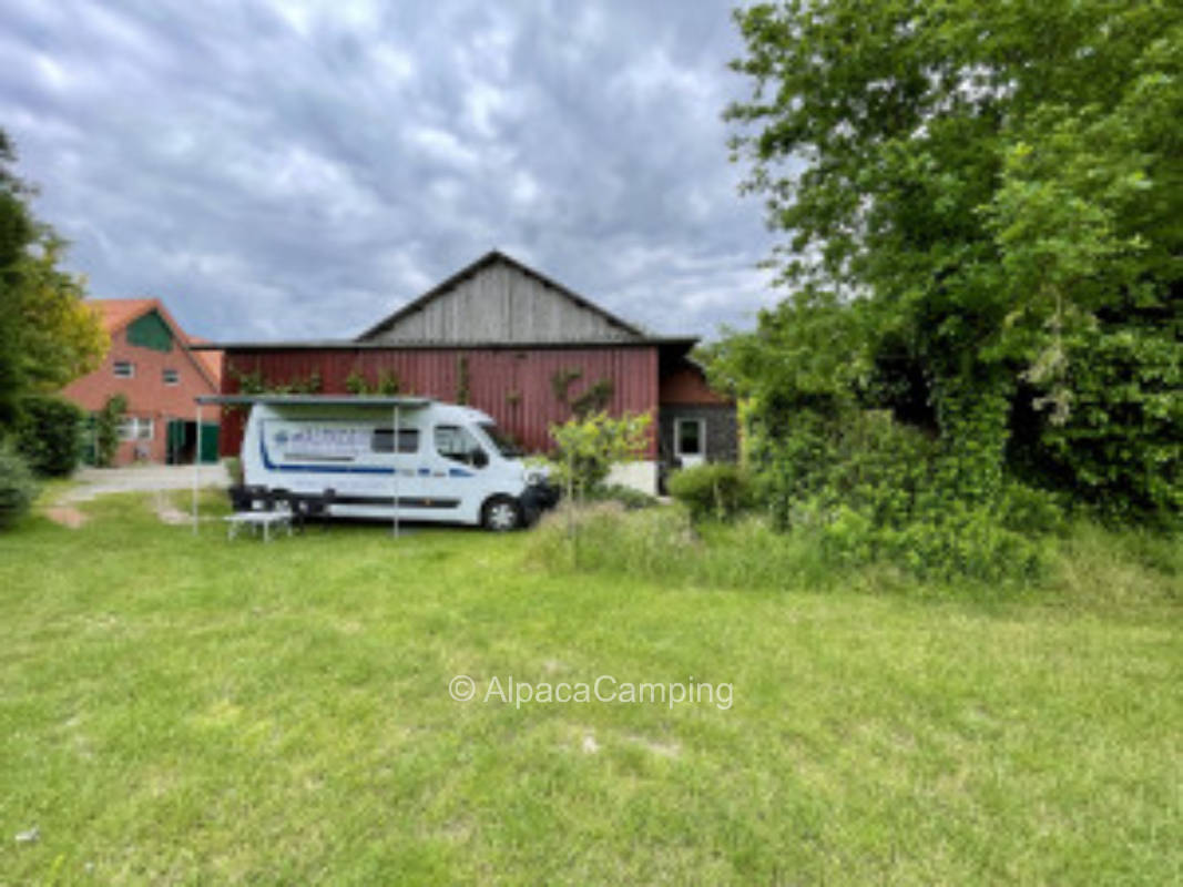 Single pitch on an apple farm