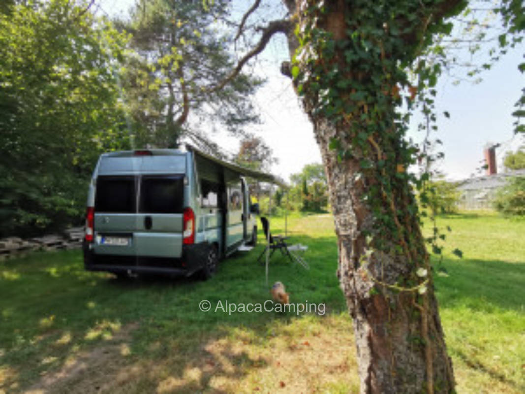 Erholung im Gemüsegarten #1