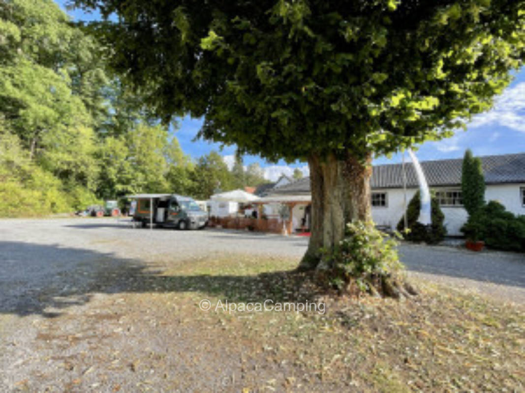 In the callet valley #6