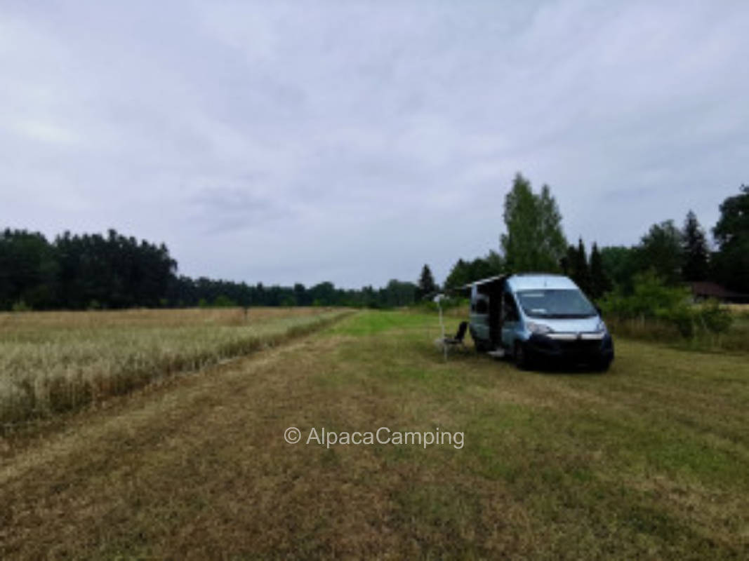 Pitch on quiet meadow directly at the edge of the forest #1