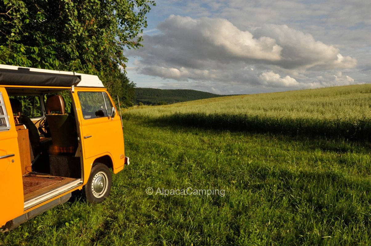 Pitch on the orchard with a view of the surroundings #2