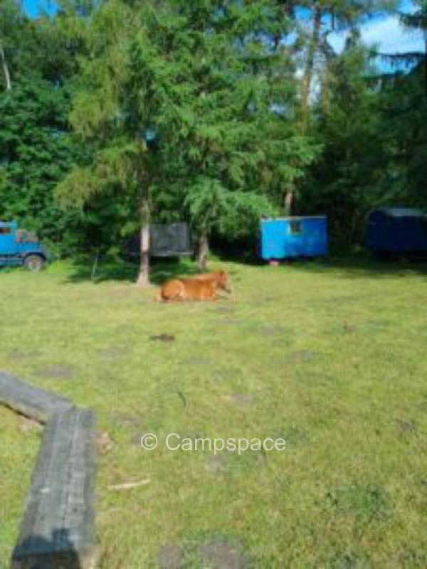 Platz für Zelt, Wohnwagen, Van, Wohnmobil (Campspace 13410)