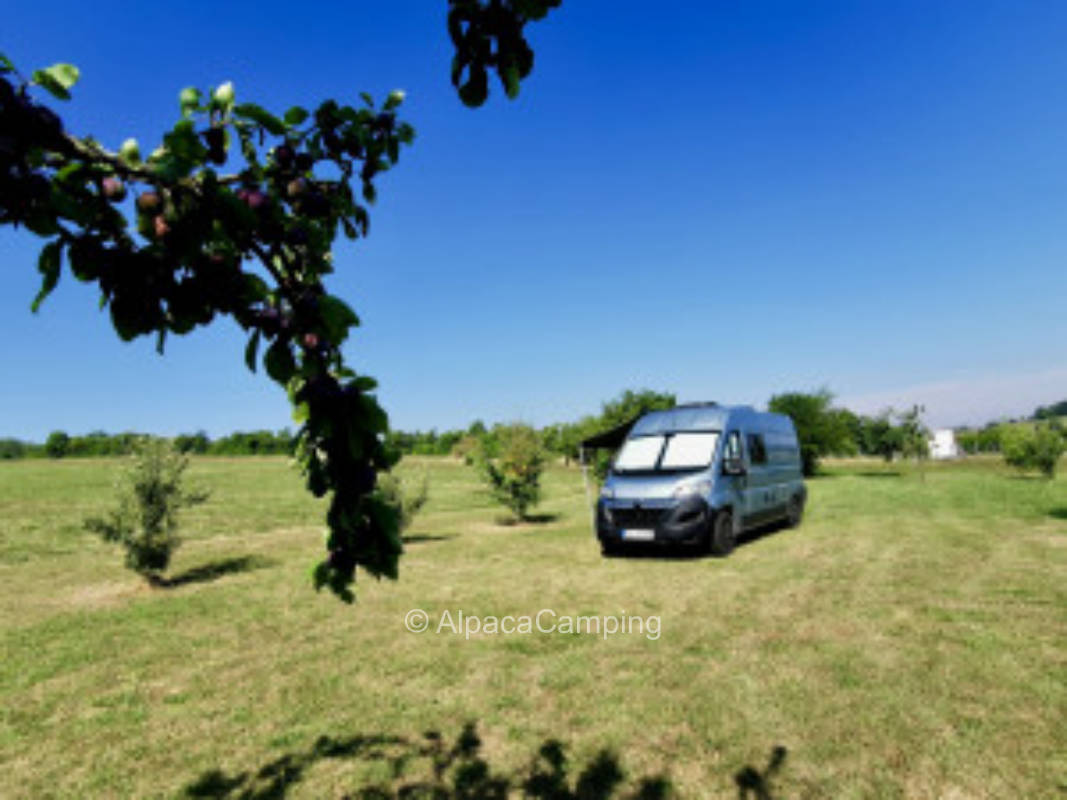 Camping Rhönlife