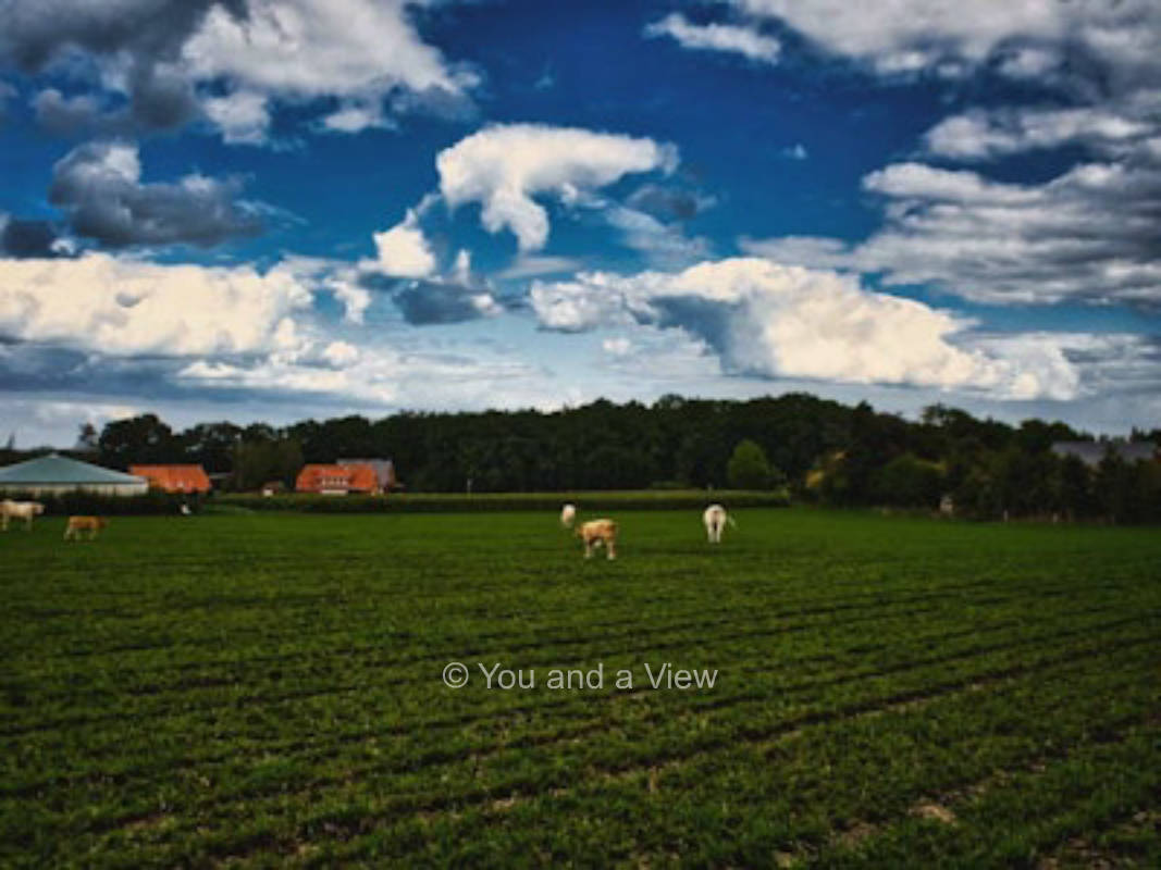 Elting - Hof