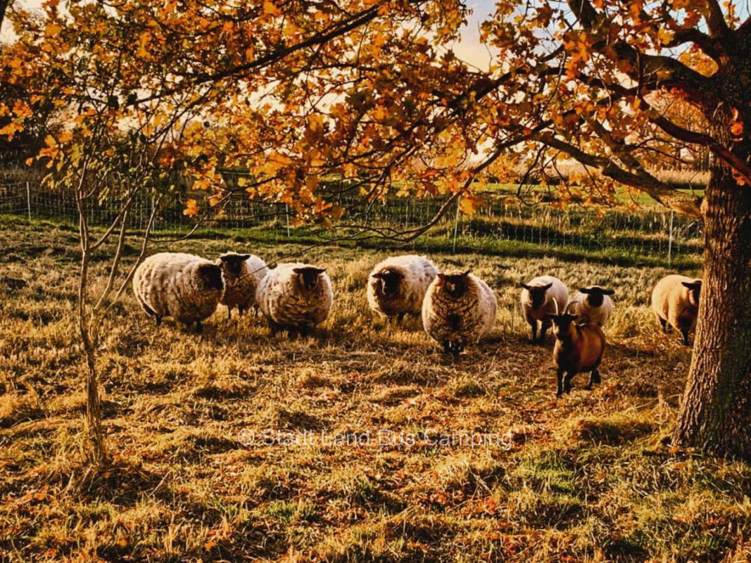 Haus am See - An der Eiche