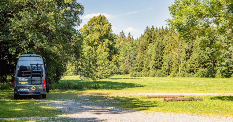 Forest and meadow edge of the Wolfegger Ach