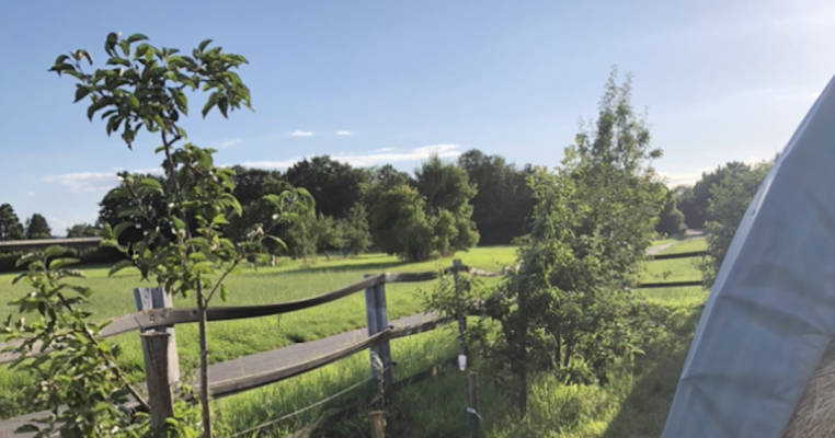 Stellplatz an Heuwiese  - vorderer Odenwald