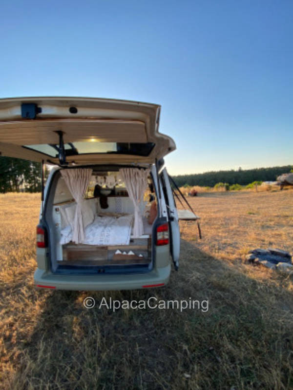 Pitch in the East Eifel #1