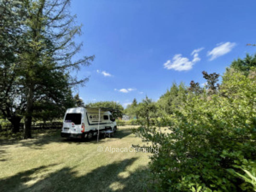 Pitch near Spreewald #2