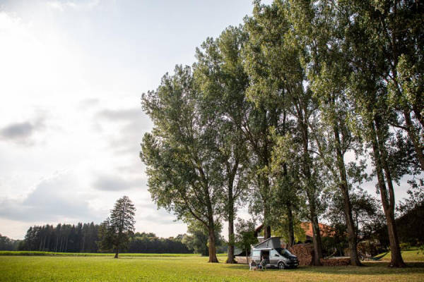 Parkplatz auf dem Hof (Campspace 4838)